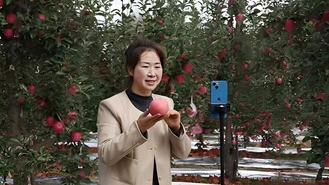 黄土高原苹果云上畅销