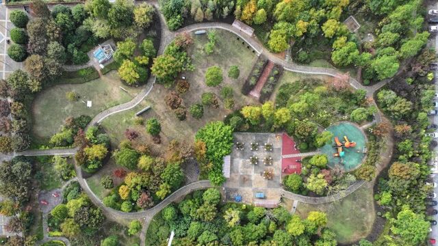 “口袋公园”色彩斑斓