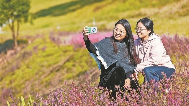 铜矿遗址铜草花开