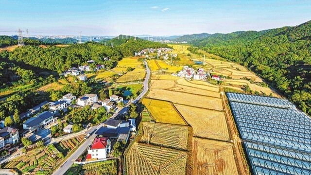 沃野兴产业 乡村换新颜