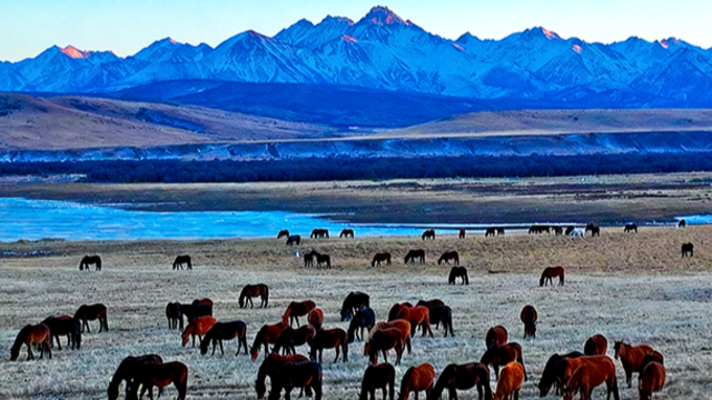 落日祁连　骏马奔腾牧歌扬