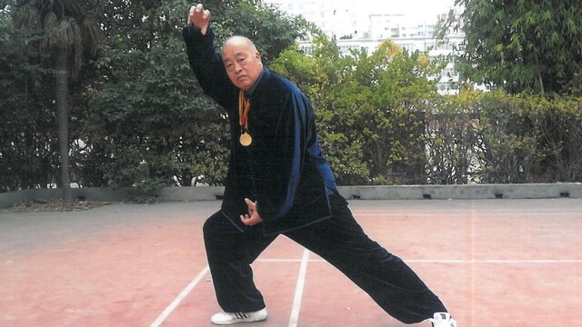 13代人“遗”脉相承真功夫　拿捏72种拳法玩转武林