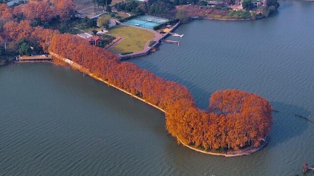 “金汤勺”舀动东湖碧波