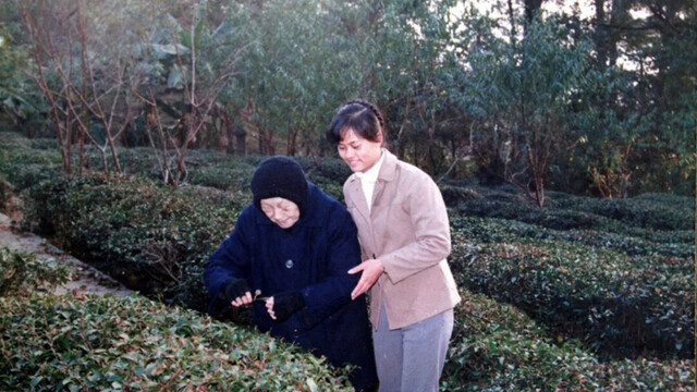 一代高僧的百年茶缘：洗石庵棋磐茶传奇