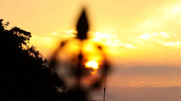 中国历代高僧从严治教事迹——少欲知足