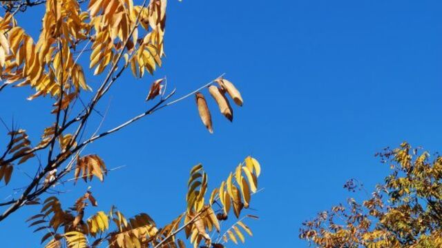 冬日风景美如画