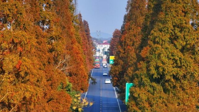 四好农村路美如画