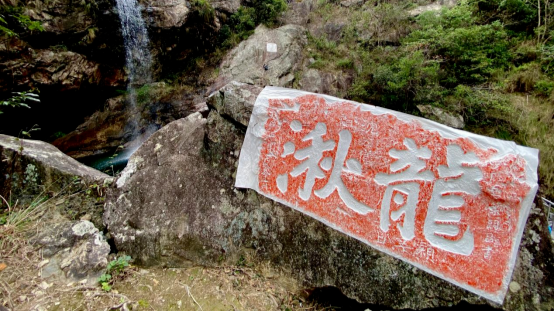 南宋嘉定年间“龙湫”榜书摩崖 | 黄檗金石录