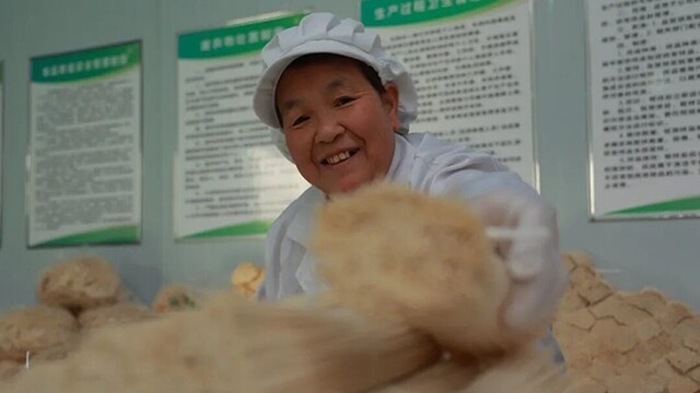 匠人指尖“挂”银丝　陇上江南解锁药食同源新玩法