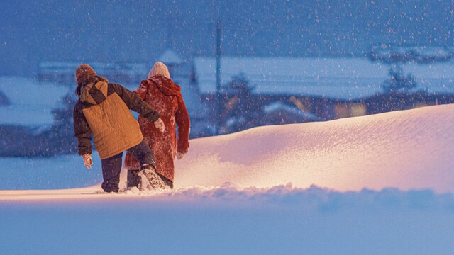 为了活下去，我们给自己讲故事丨凤凰网读书2025年度推荐图书78本