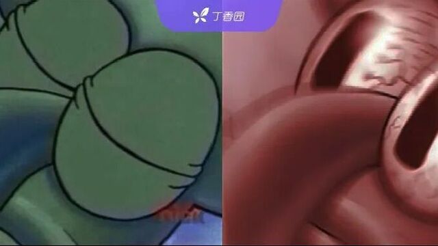 午睡多长时间最好？顶刊权威研究这样说