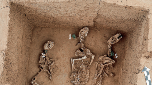 河南殷墟王陵区发现我国最早“野生动物园”