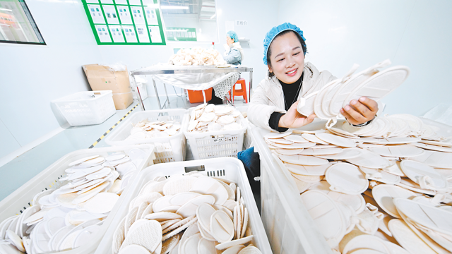 太空丝瓜产品热销海内外