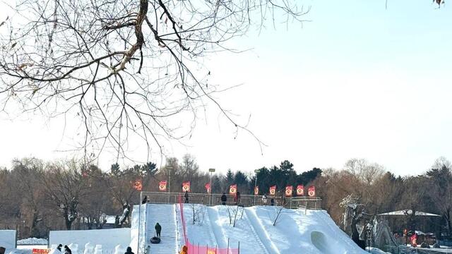 市区惊现超大冰雪乐园？玩到根本不想回家！