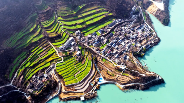 不待春风　陇上江南已金黄