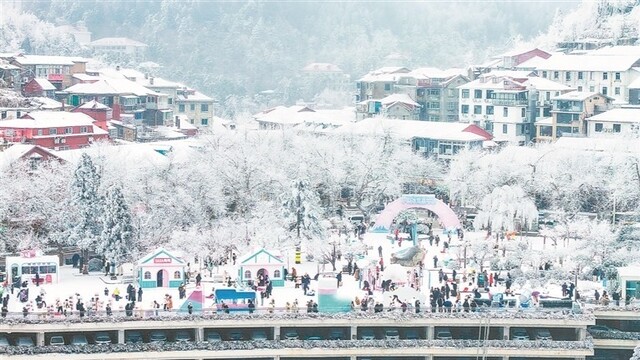 银妆素裹 分外妖娆