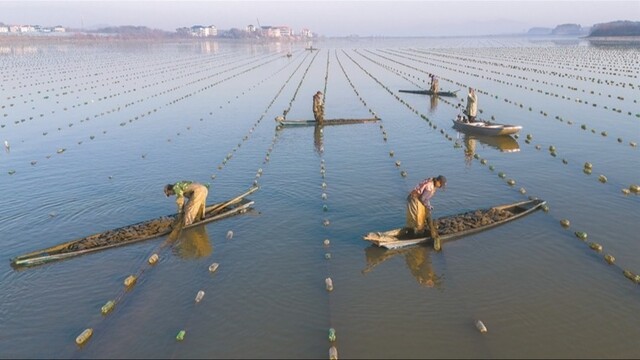 特色产业促增收