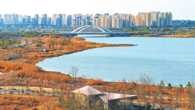 半湖冬彩 满园生趣