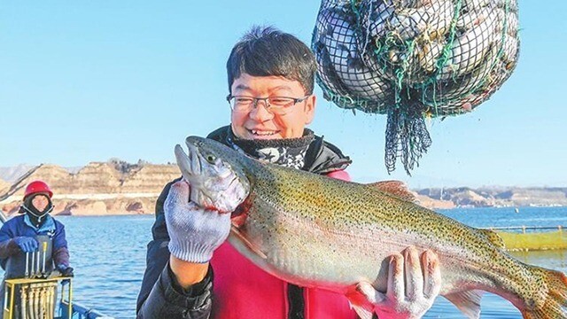 甘肃刘家峡水库：智慧养鱼鱼满舱