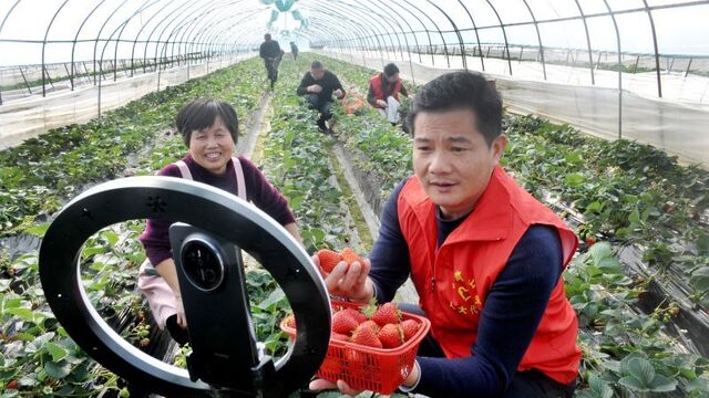 “三一合一”为民生解民忧