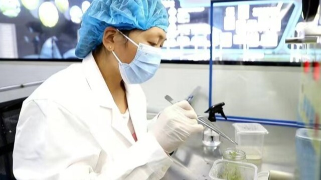 一粒马铃薯的增值空间