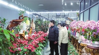 年宵花市场供销两旺