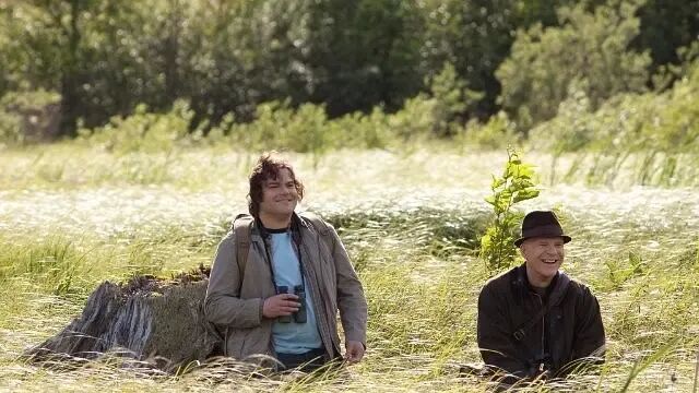 去看鸟！没有电话打来，没有会要开