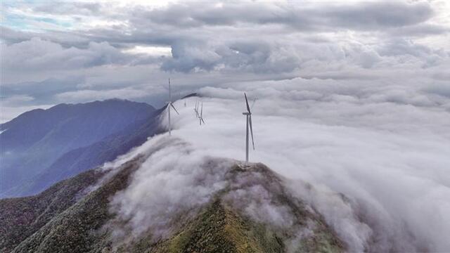 “绿色动力”崛起