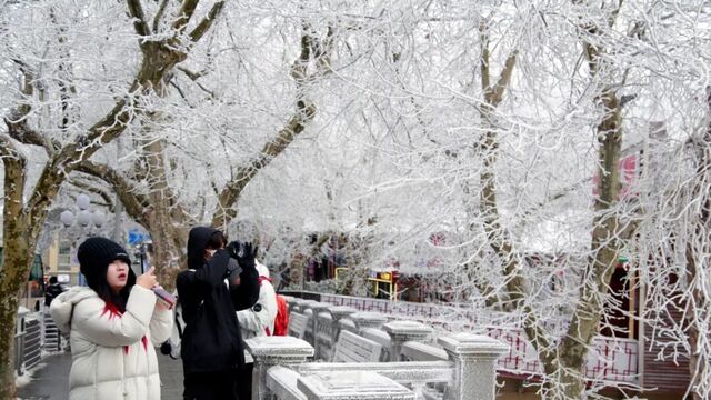 庐山喜迎马年首场雾凇奇观 五老峰、三叠泉景区临时封闭