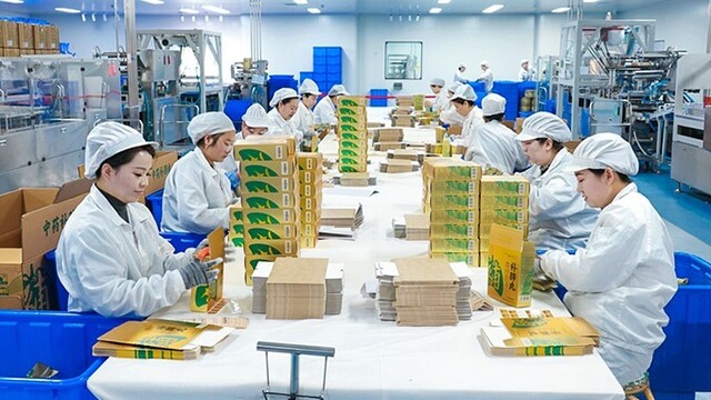 甘肃西峰：园区保障好　企业生产忙