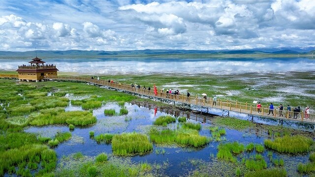 甘肃谱写林草事业新篇章