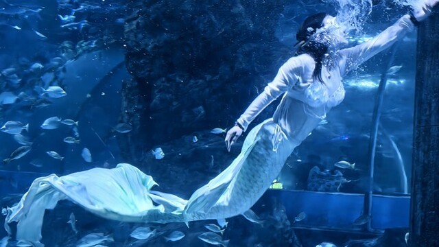 旅拍免单住宿半价……兰州景区优惠礼包宠她得嘞