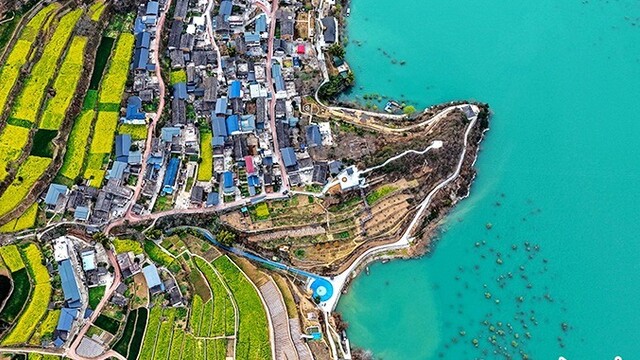 甘肃文县：以花为媒催热乡村观光游