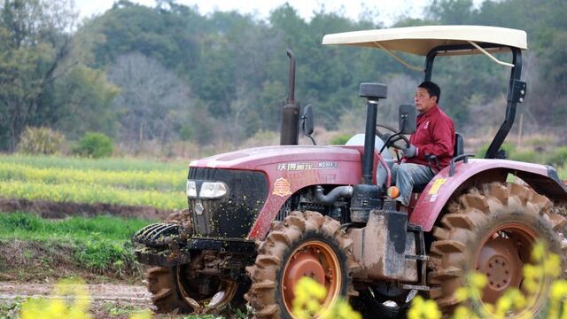 早稻育秧忙 不负好春光