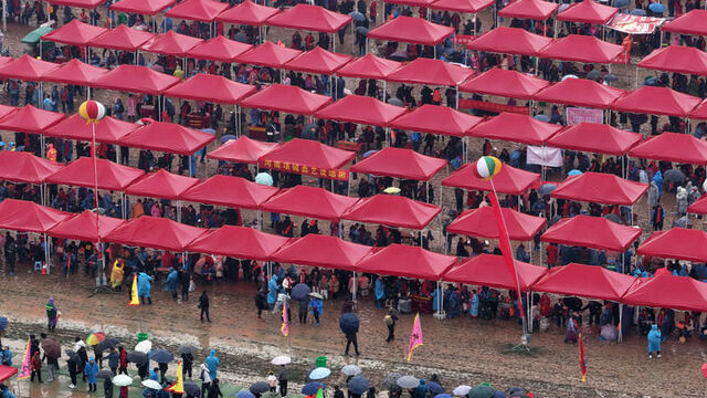 马街书会：当曲艺“跳动”在这片麦田上