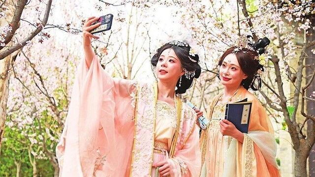 甘肃繁花绽放催热春花经济