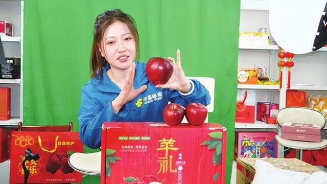 甘肃秦州云端搭桥　花牛苹果飞全国