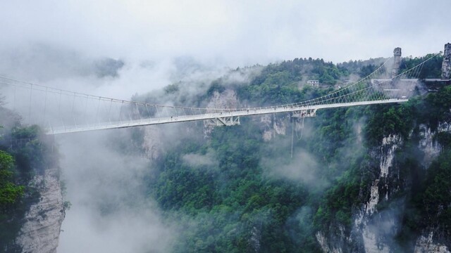 峡谷对话｜风雅安在？重新打量诗歌与我们的距离