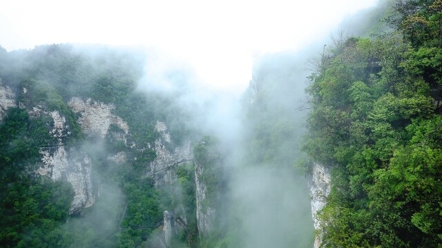 峡谷对话丨何以养生？在山水间解码中国式慢功夫