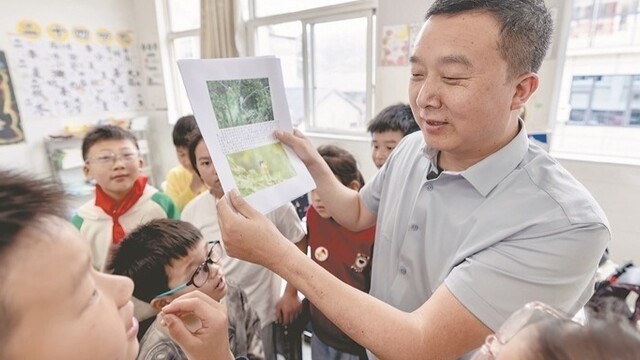 守护蓝冠噪鹛