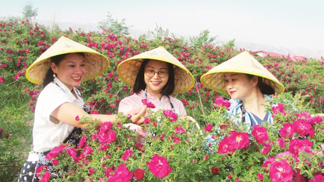 玫好永登　花香漫城