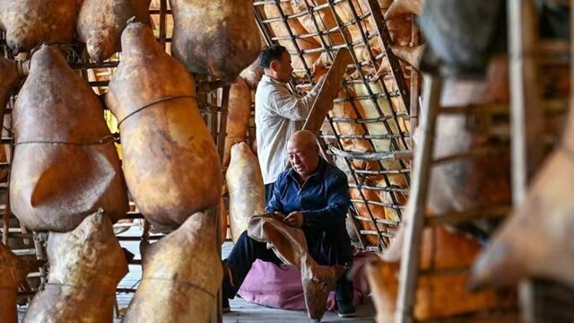 甘肃景泰“水上人家”幸福得嘞