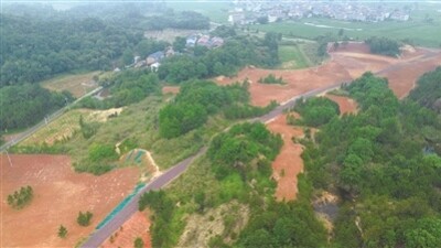 绿了山头 富了心头
