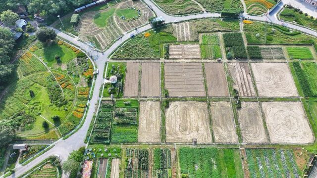 农旅融合盘活乡土田园