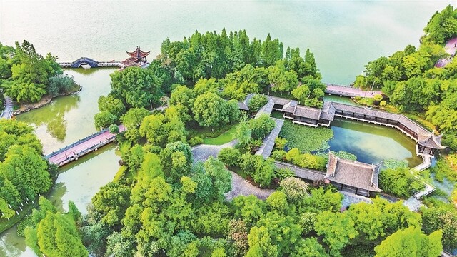 城市绿肺