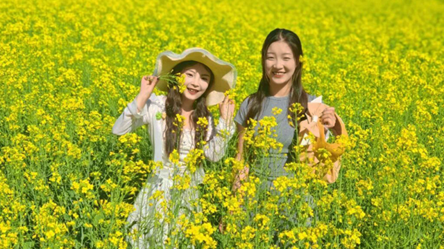 甘肃陇南这块私藏宝地真的很夏天