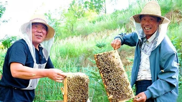 甘肃静宁：酿出甜蜜致富路
