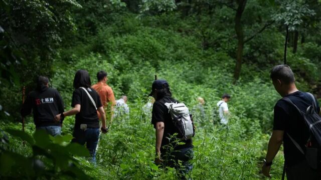 终南山研学图录：行走18处精神地标，寻找中国文化的隐逸和风骨