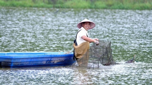 稻虾共作助农增收