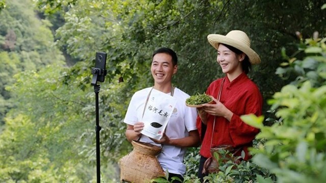 甘肃陇南特色产业铺就富民路